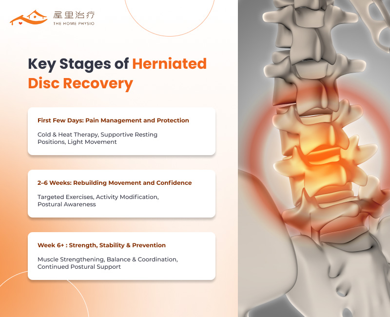 herniated disc recovery key stages infographic